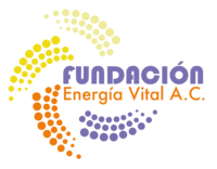 Fundacion-Energia-Vital-logo